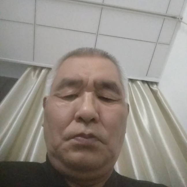 乌龟给傻傻的照片