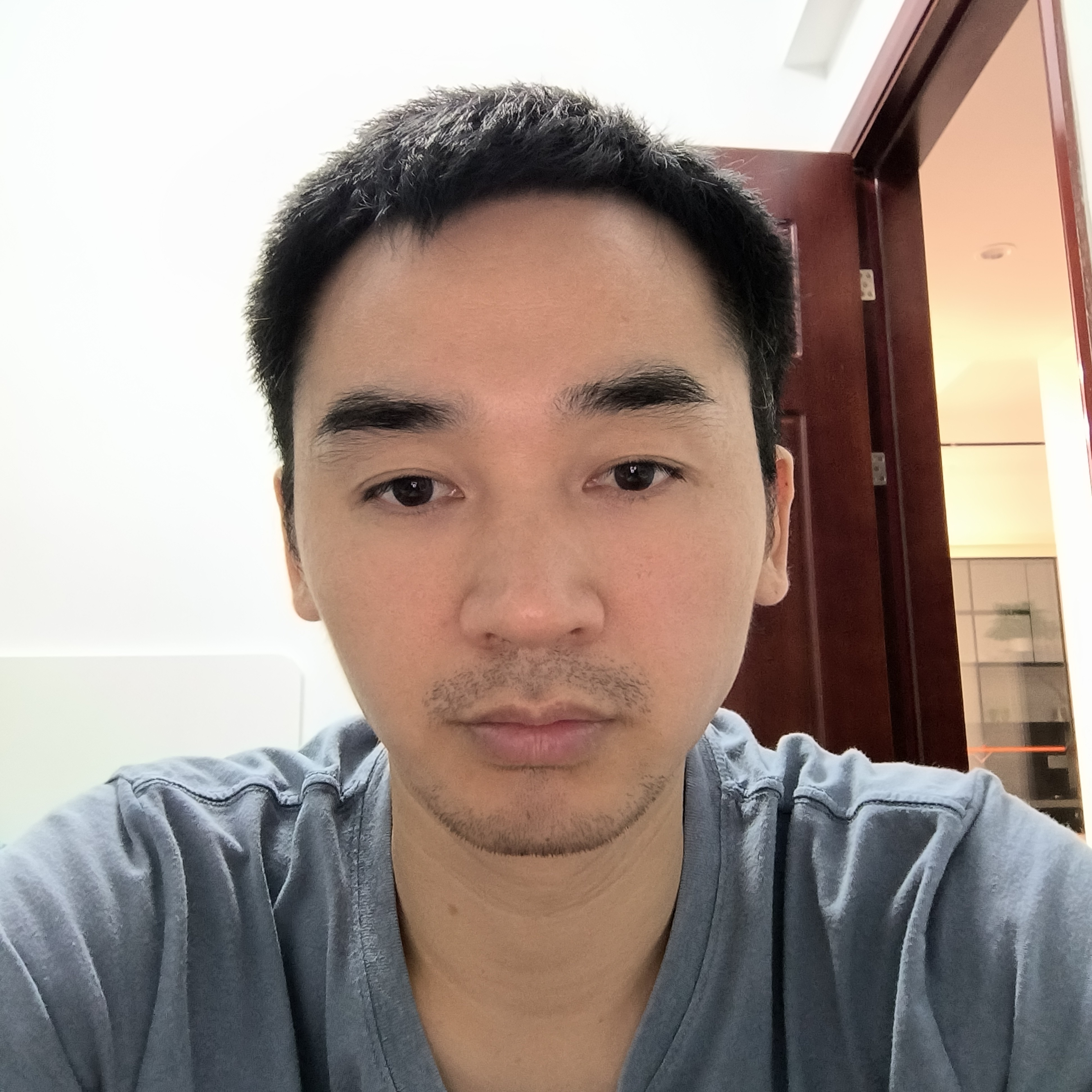 芝麻爱震动的照片
