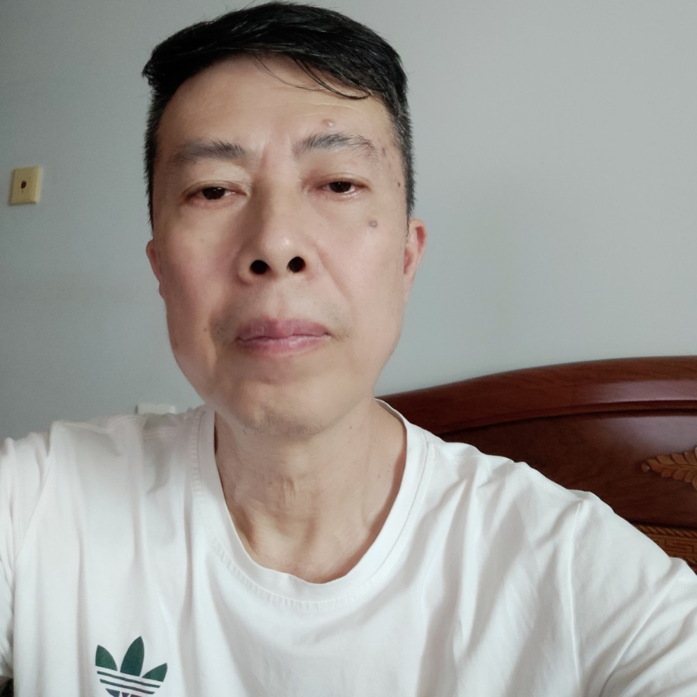 白猫还明媚的照片