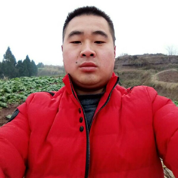 胃生的照片