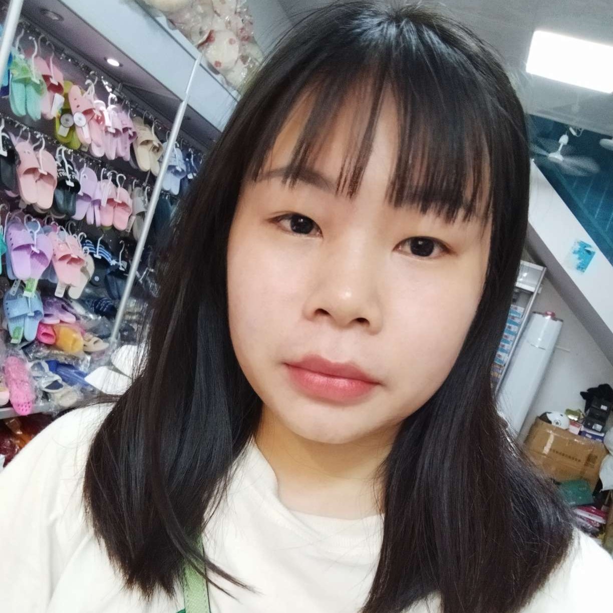仙人掌的冷静的照片