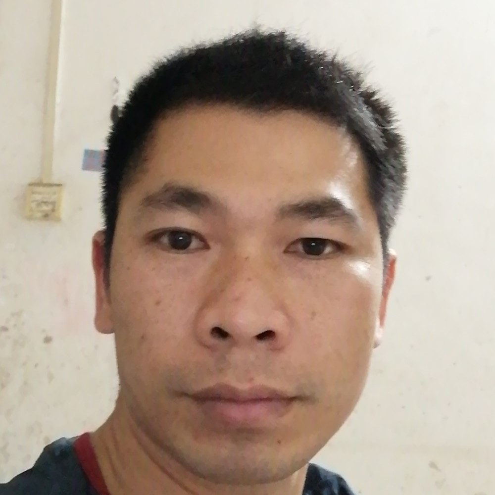 七叶飞花的照片