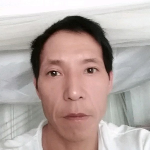 从容说红玫瑰的照片