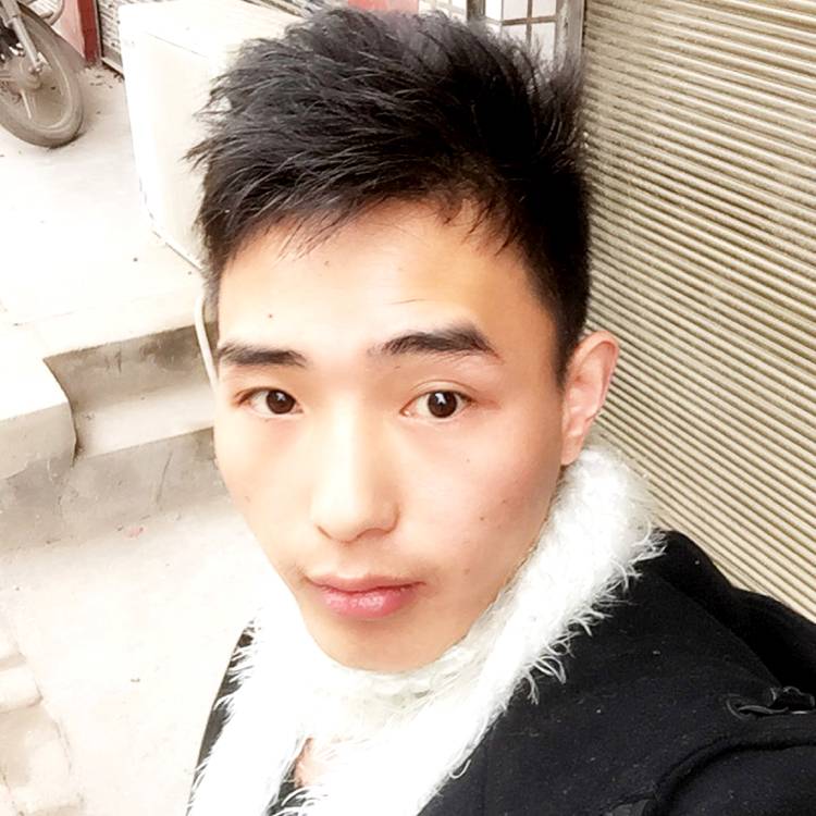 迷茫树叶～华仔的照片