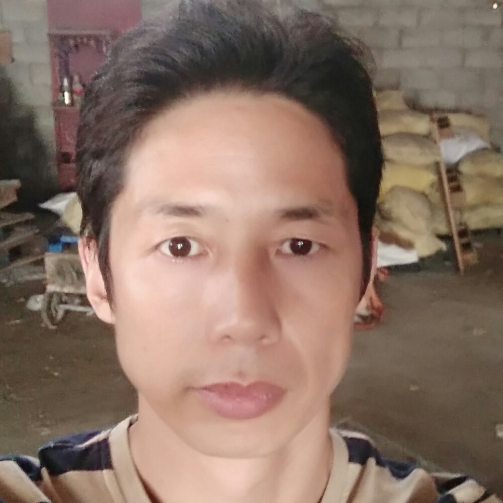 飞鸟欣喜的照片