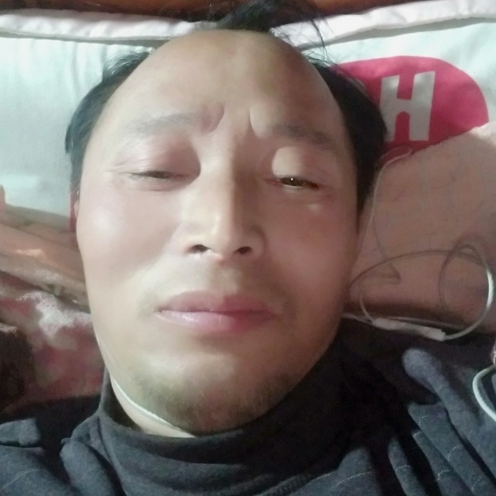 冬狗的照片