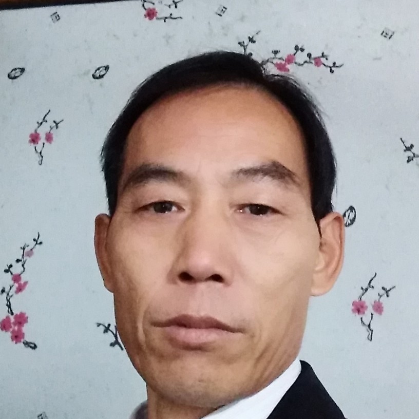 贤惠蚂蚁的照片