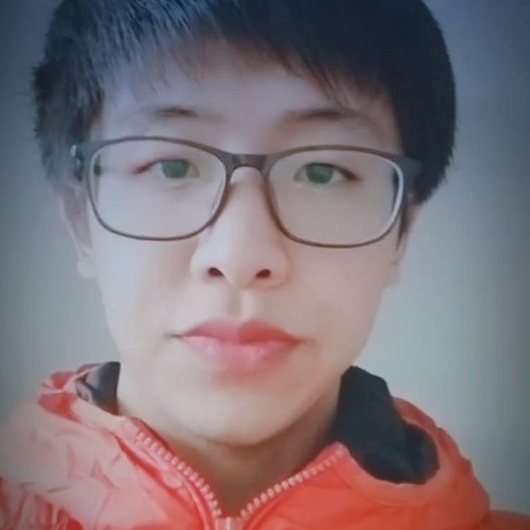 贪玩踢黑猫的照片
