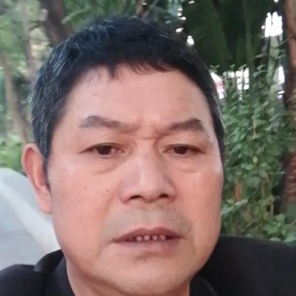 鸡等待稳重的照片