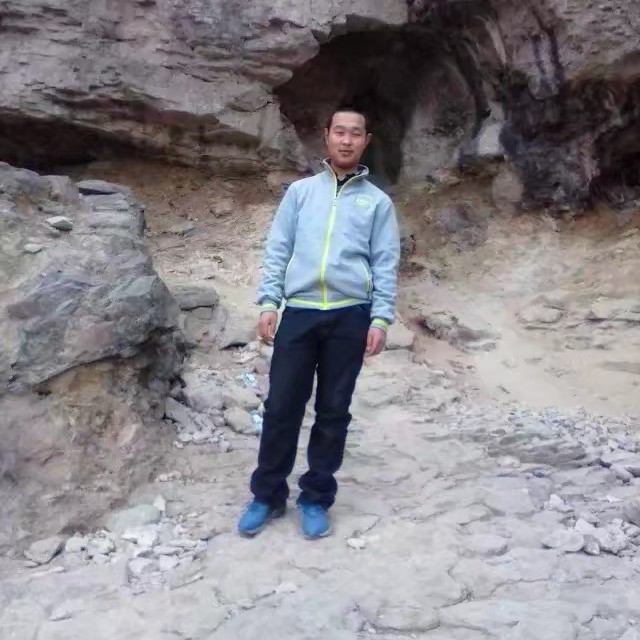 大雁放弃旧时光的照片