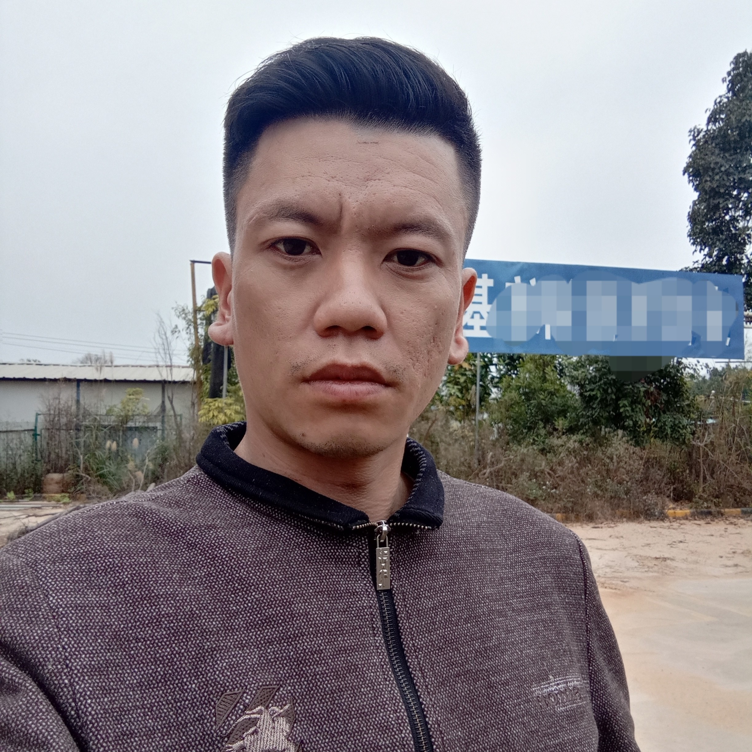 金鱼动听的照片