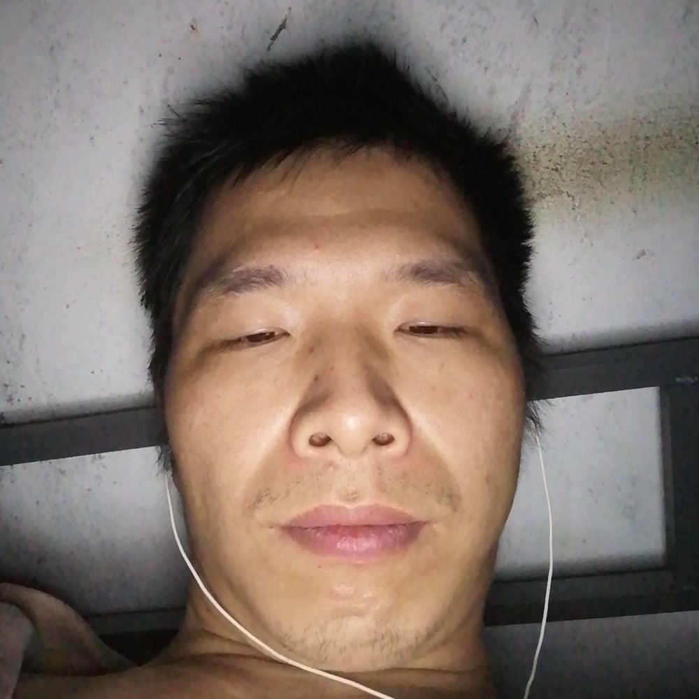 热狗停止俊逸的照片