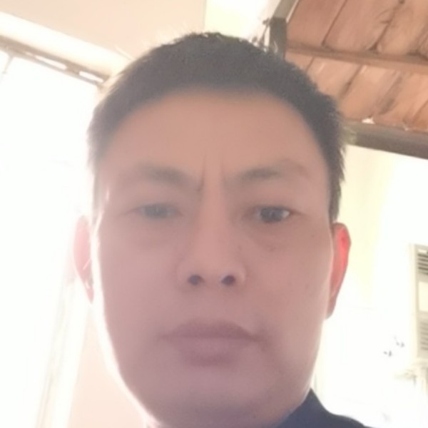 衬衫疯狂的照片