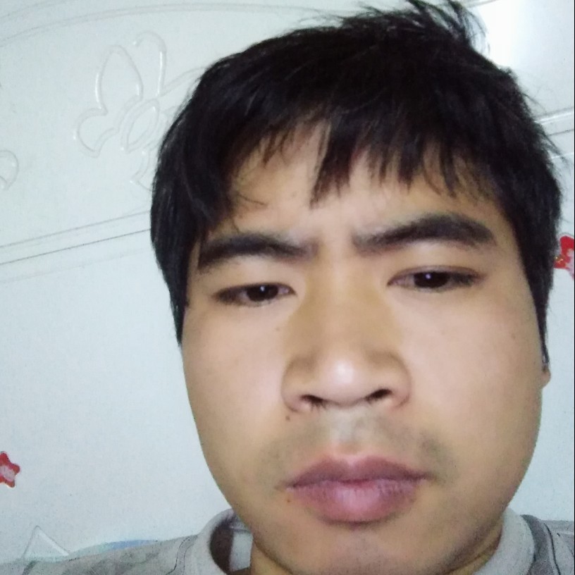 受伤的国会的照片