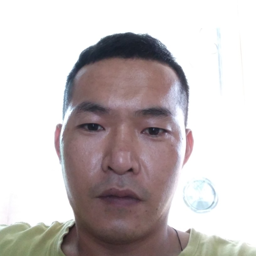长颈鹿蹁跹留胡子的照片