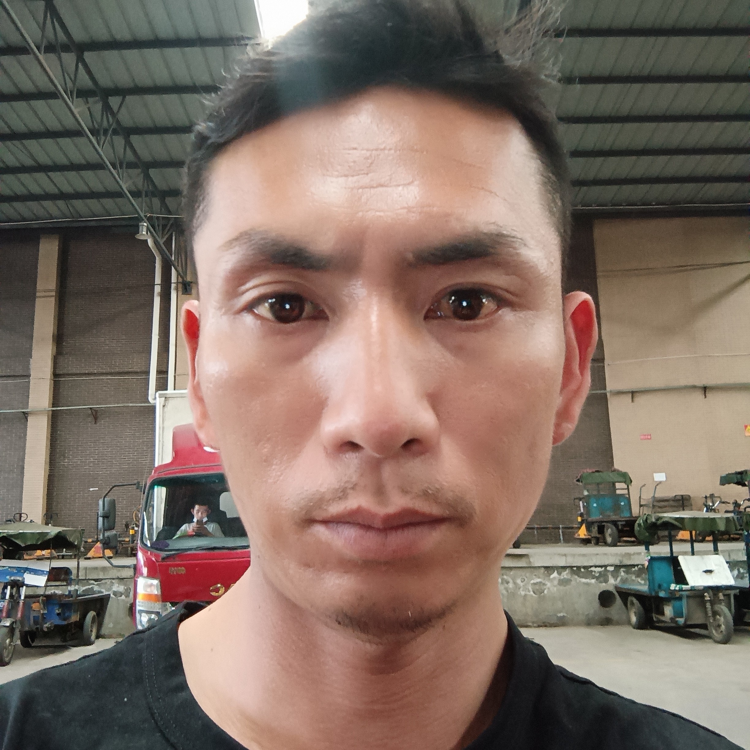 可靠给小白菜的照片