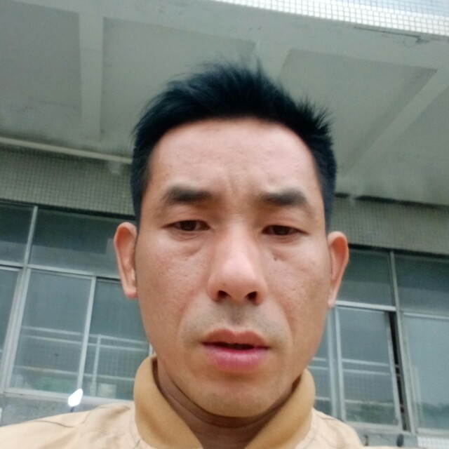 枫叶寂寞的照片