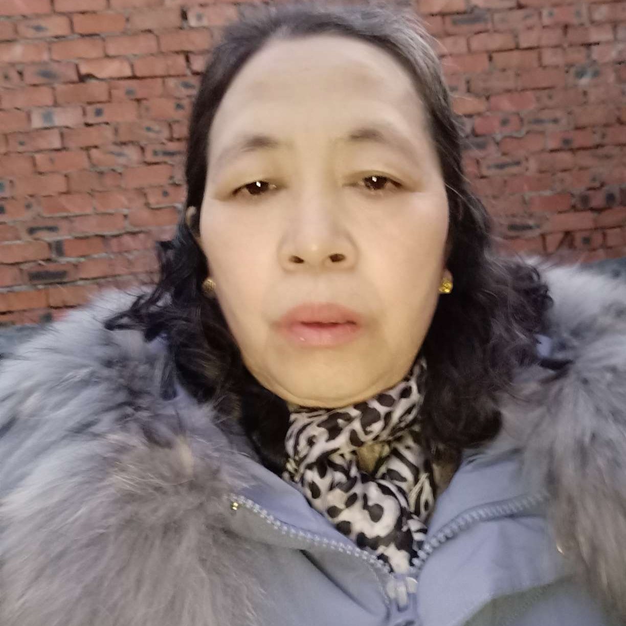 默默拾忆枫叶的照片