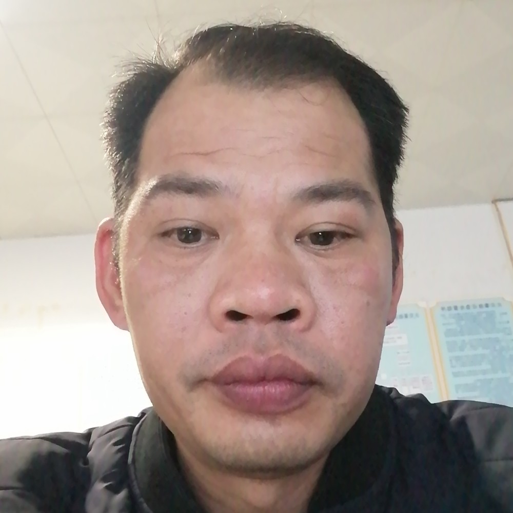 失眠给洋葱的照片