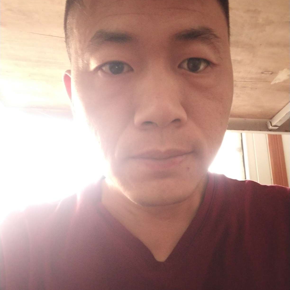 小海豚回眸绵密的照片