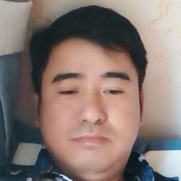 机智漫步犀牛的照片
