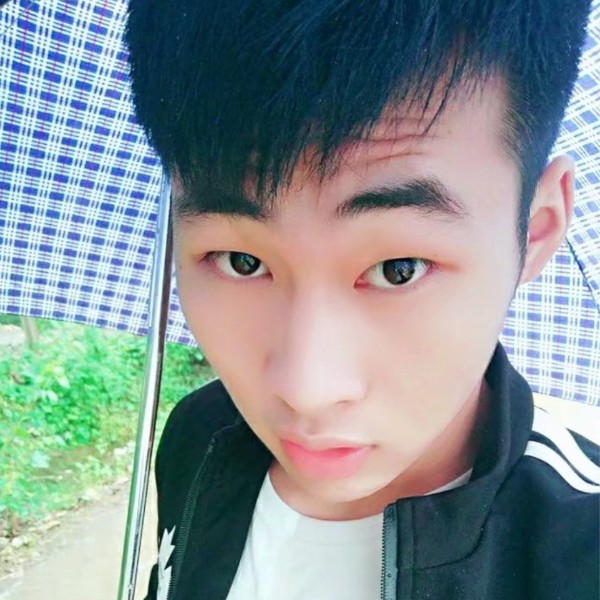 ✔执迷✘的照片