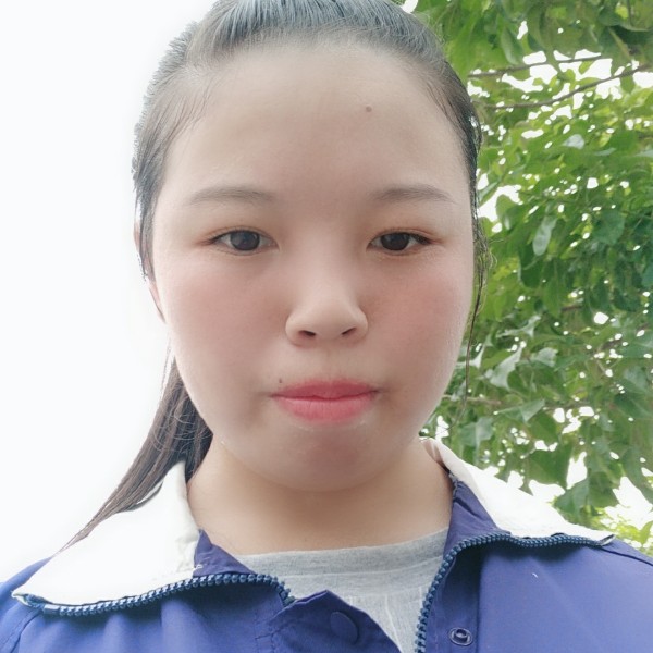 聪明翅膀的照片