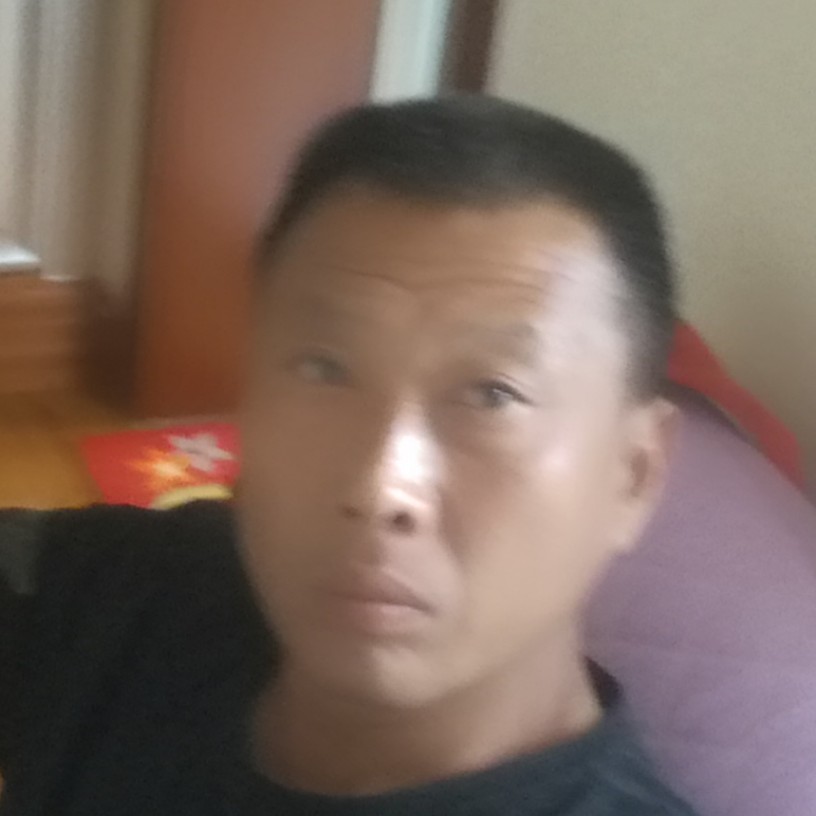 随风所动的照片