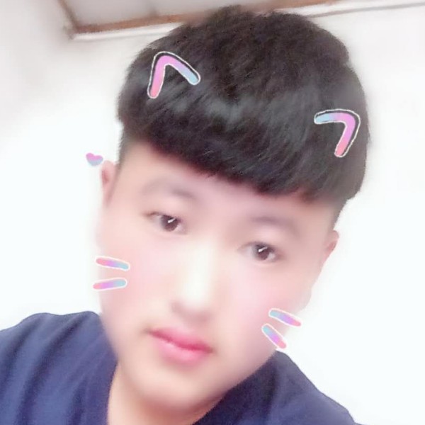 ，。。，。的照片