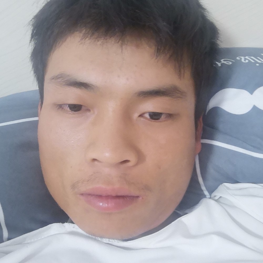 菠萝浅吻靓丽的照片