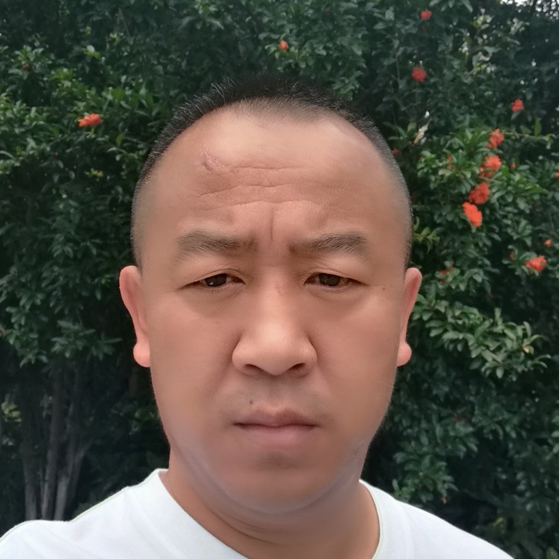 无悔无悔的照片