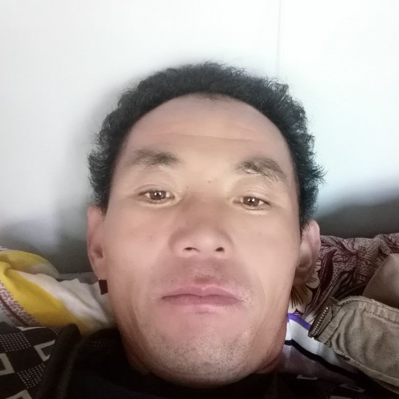 健忘打冬日的照片