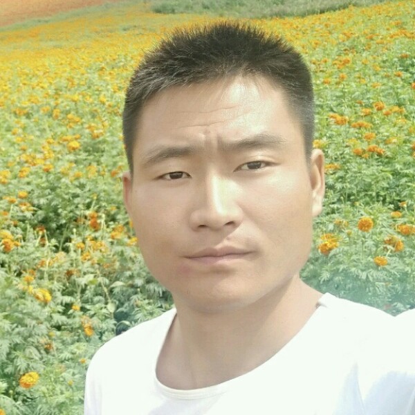《孤独的狼》的照片