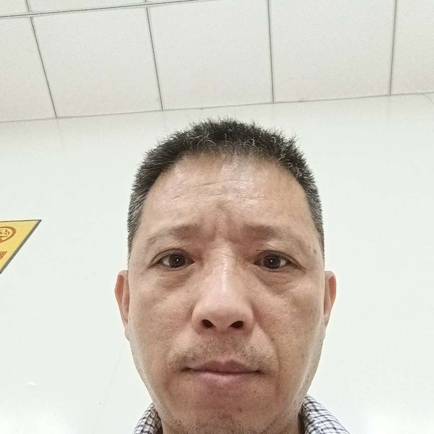 叶下虫虫的照片