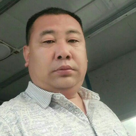 孤独的松树的照片