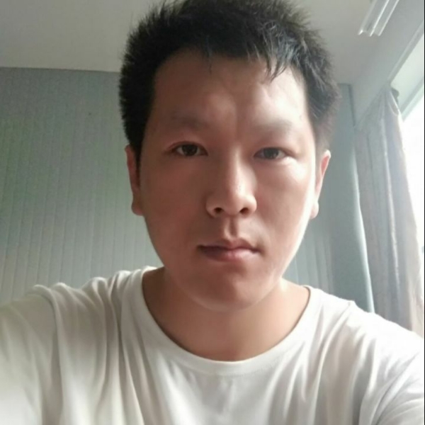孤单小鸟的照片