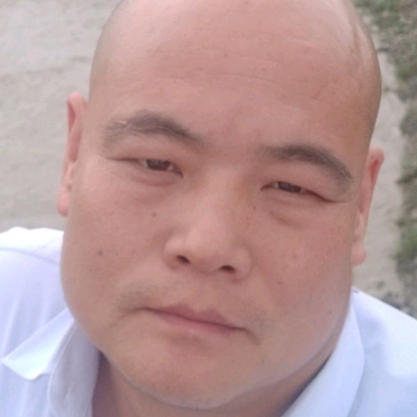 灰狼漫步粗暴的照片