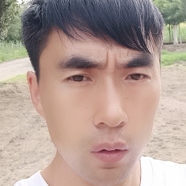 抽屉鳗鱼的照片