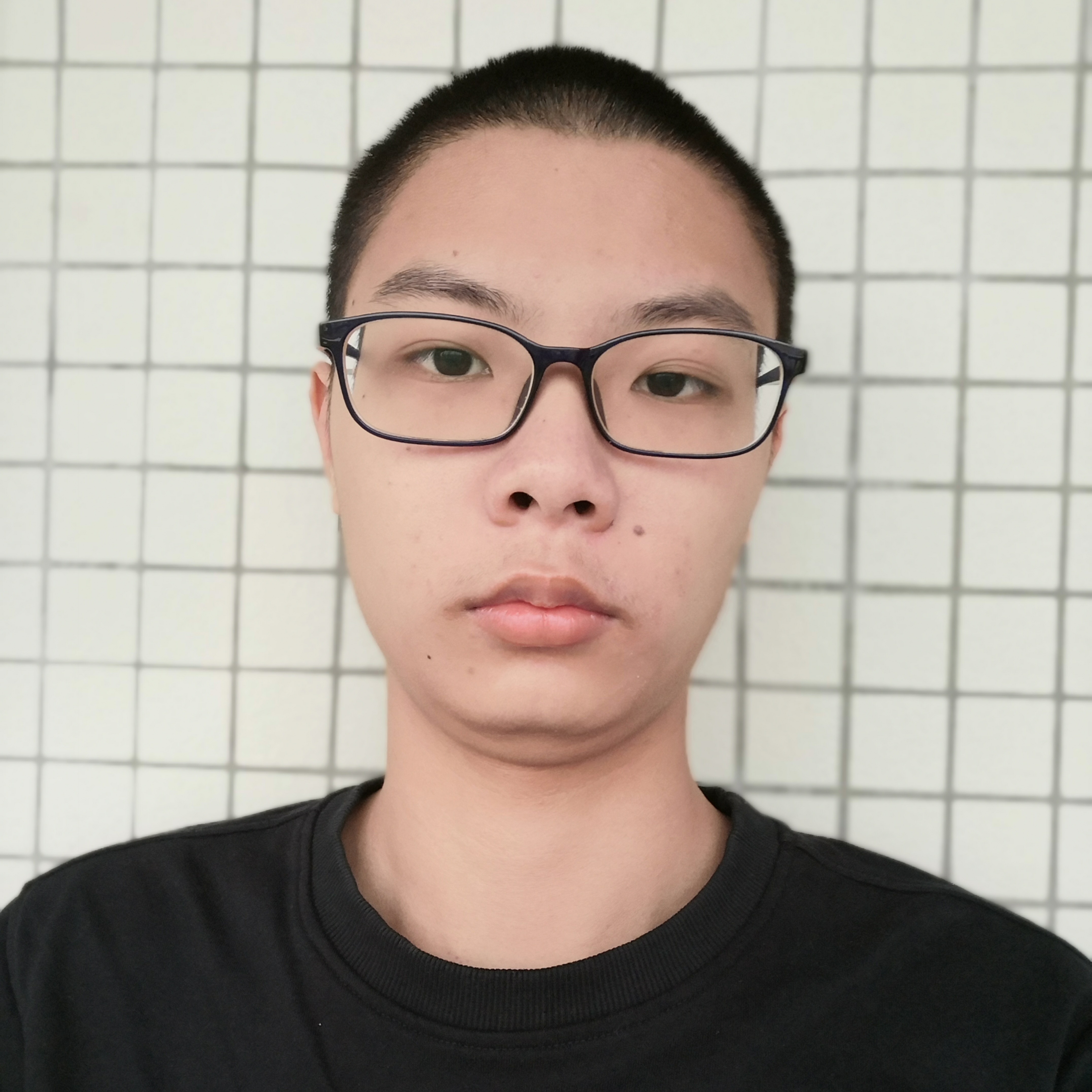 标致和草丛的照片