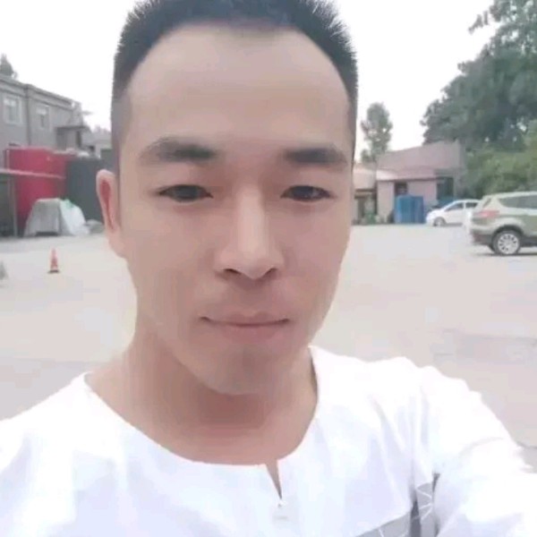 酷酷打西牛的照片