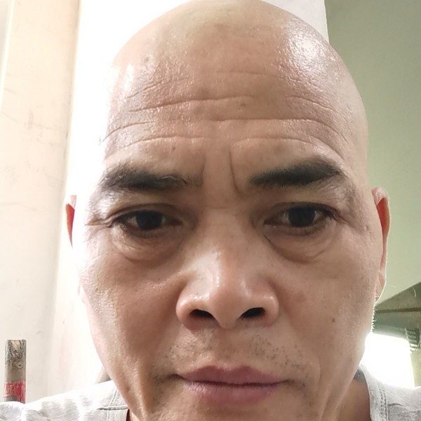 动人相许大树的照片