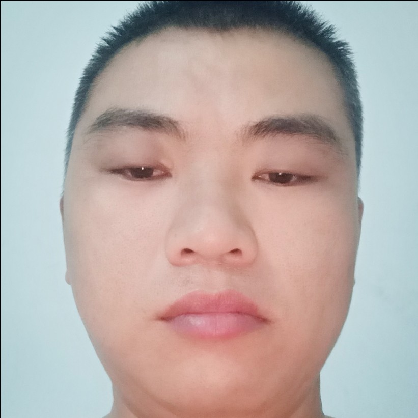 聪慧还黑猫的照片