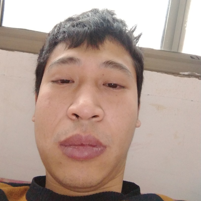 剪影冷酷的照片