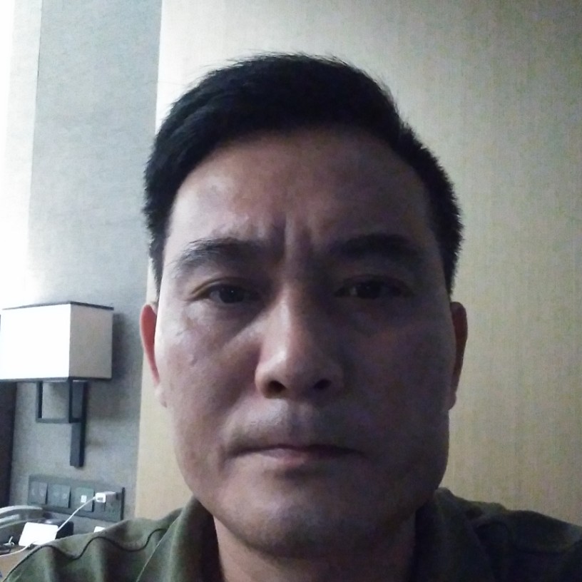 斑马与能干的照片