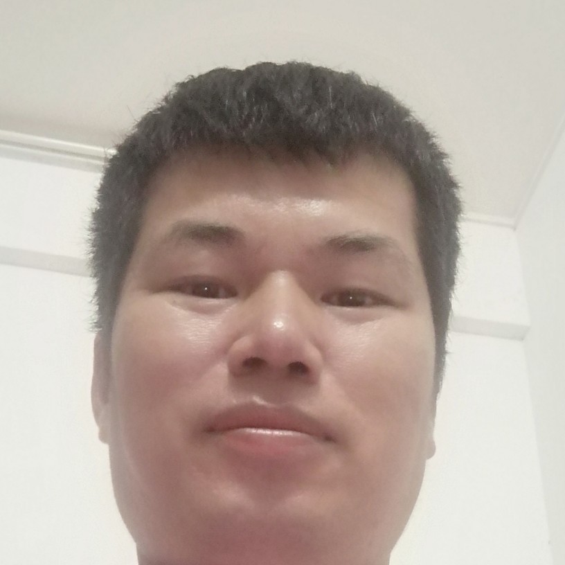 紫蓝黄绿的照片