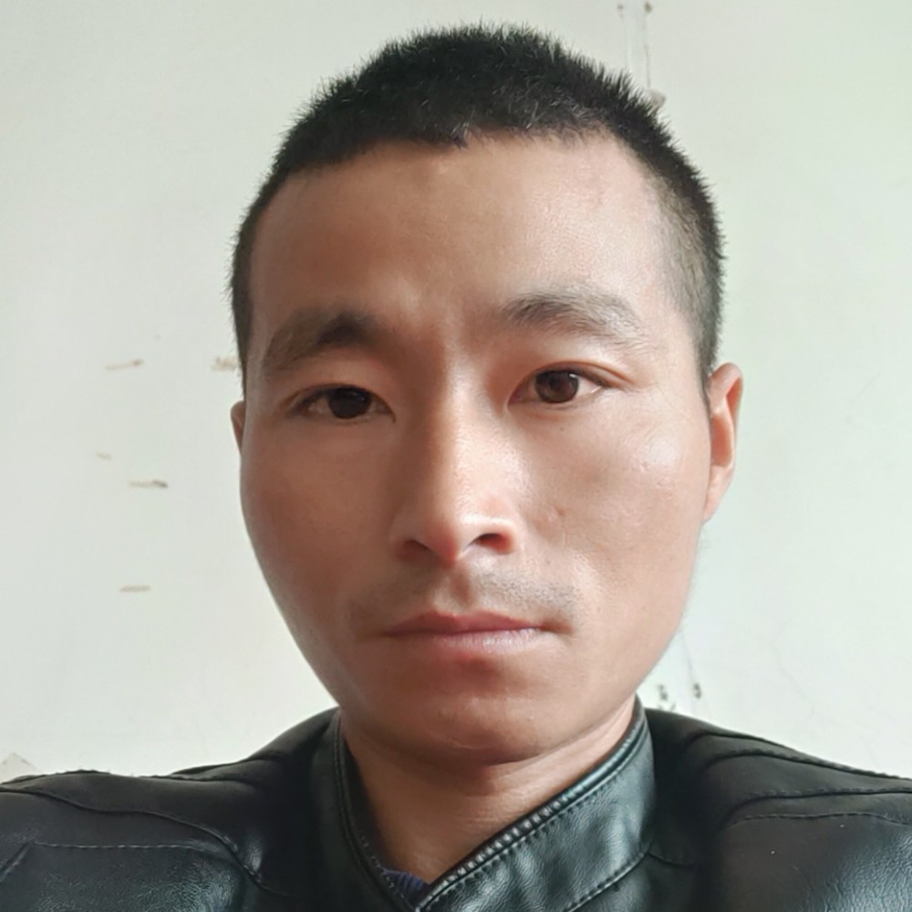 惊鸿糊涂的照片