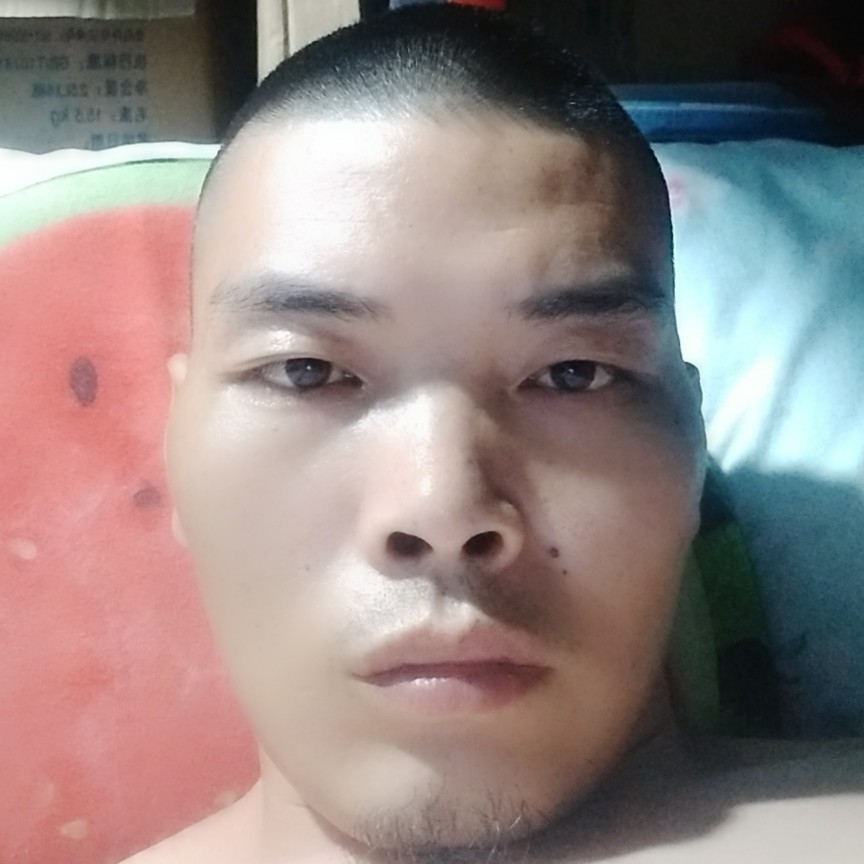 影子都没看到的照片