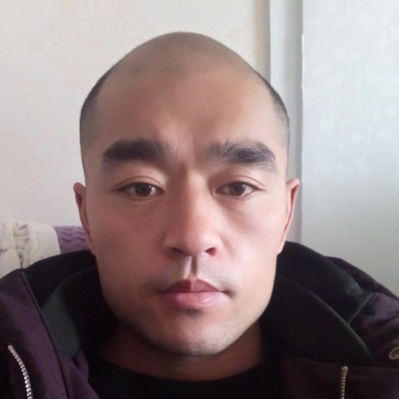 无聊母鸡的照片