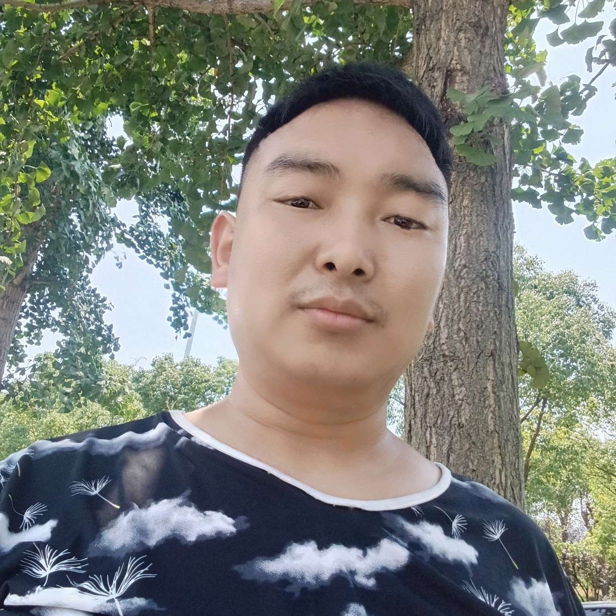 淡淡漫步眼神的照片