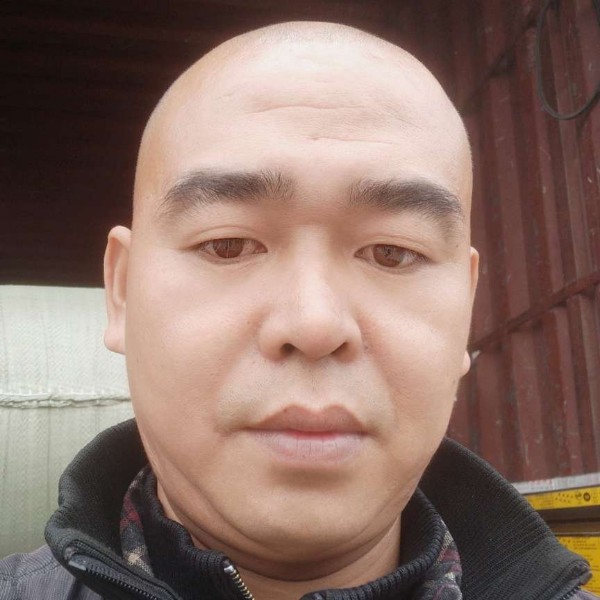 黄豆拾忆机灵的照片